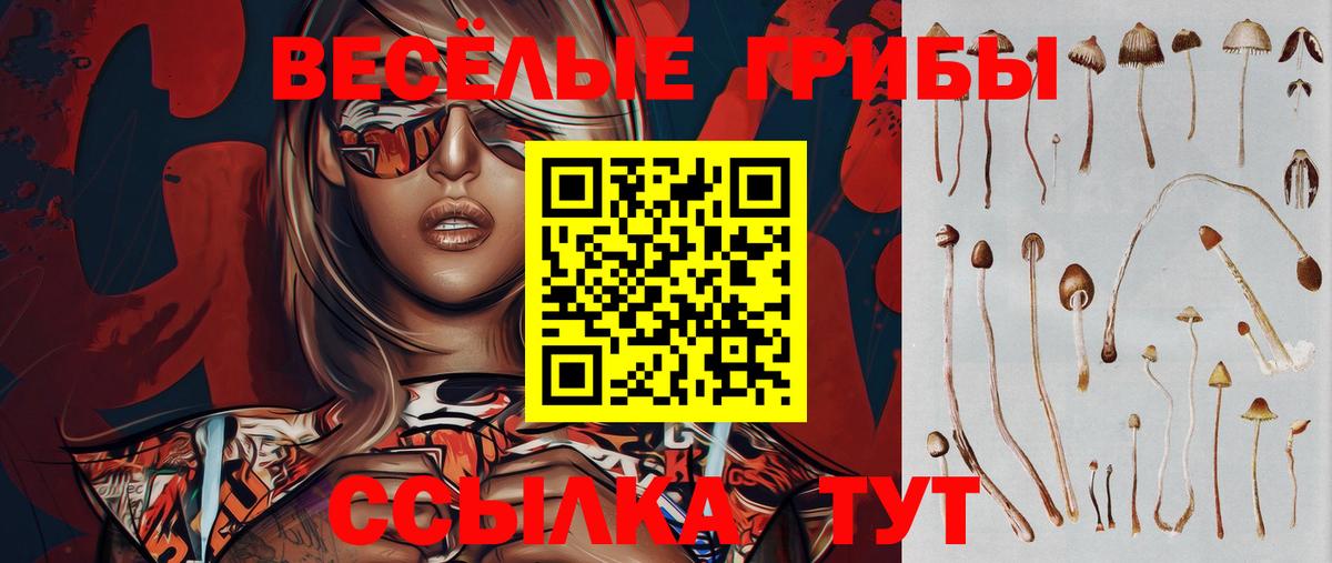 Псилоцибиновые грибы мухоморы Чистополь